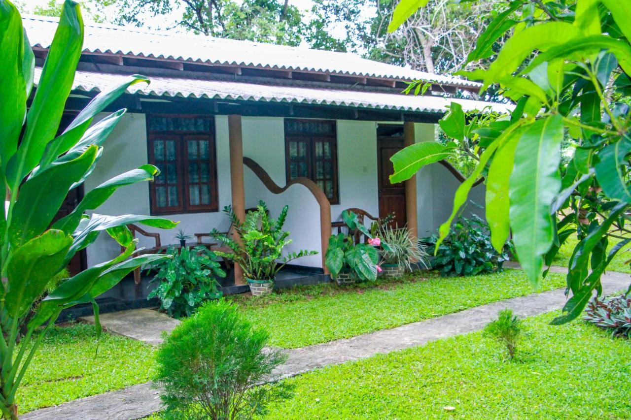 Nimsara Lodge Sigiriya Luaran gambar